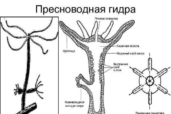 Kraken магазин тор